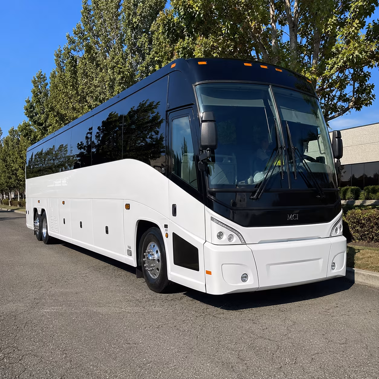 sandy 50 passenger charter bus