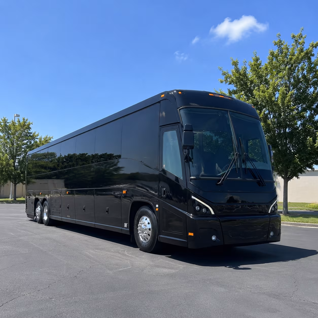 sandy 56 passenger charter bus