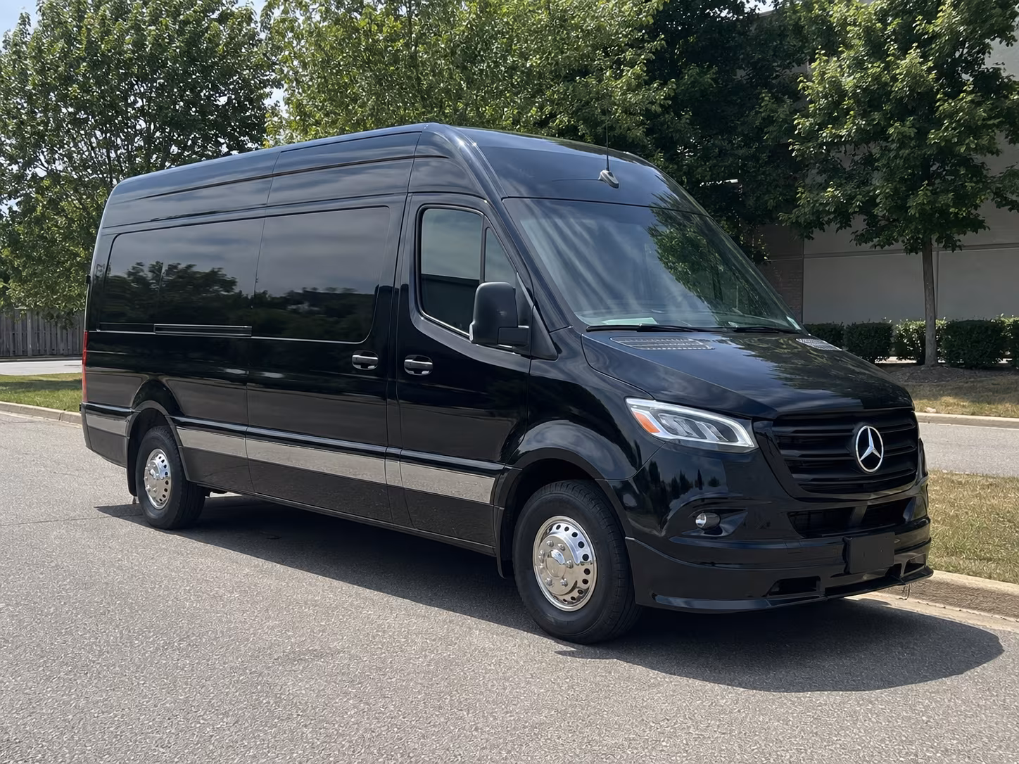 sandy sprinter van with driver